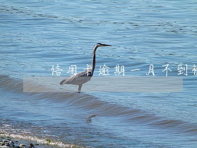 信用卡逾期一月不到被冻结 信用卡逾期一月不到被冻结