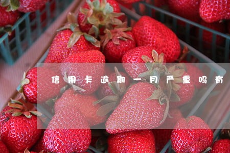 信用卡逾期一月严重吗有补救吗 信用卡逾期一月严重吗有补救吗