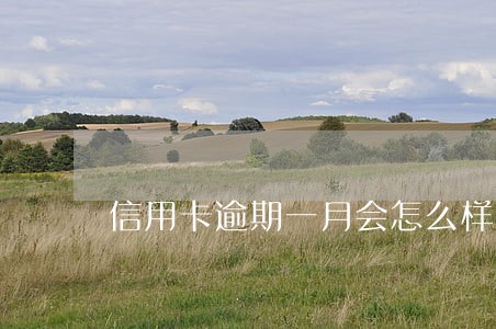 信用卡逾期一月会怎么样 信用卡逾期一月会怎么样