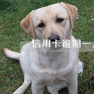 信用卡逾期一月借呗