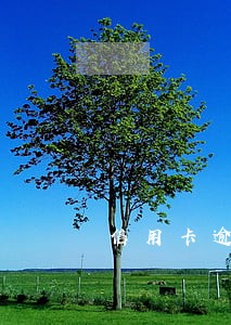 信用卡逾期一月再还 信用卡逾期一月再还