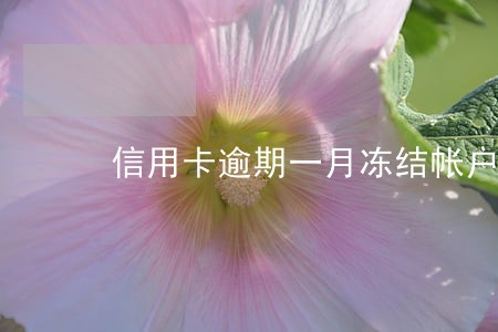 信用卡逾期一月冻结帐户咋回事