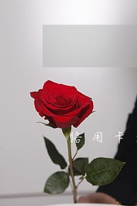 信用卡逾期一月利息一千多