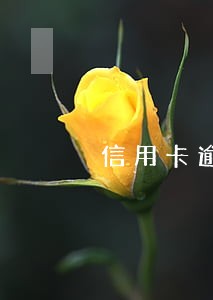 信用卡逾期一月多少利息 信用卡逾期一月多少利息