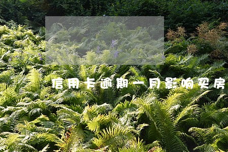 信用卡逾期一月影响买房吗 信用卡逾期一月影响买房吗