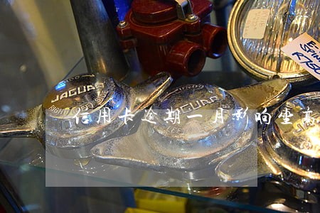信用卡逾期一月影响坐高铁