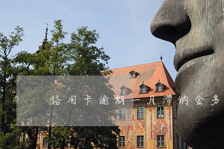 信用卡逾期一月滞纳金多少 信用卡逾期一月滞纳金多少