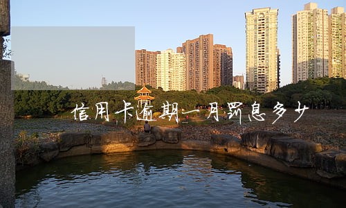 信用卡逾期一月罚息多少 信用卡逾期一月罚息多少
