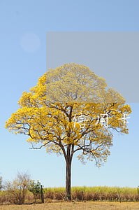 信用卡逾期一月被冻结 信用卡逾期一月被冻结