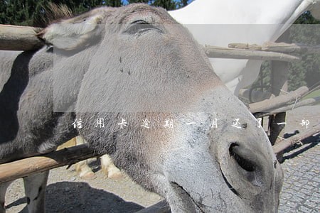 信用卡逾期一月还了一部分 信用卡逾期一月还了一部分