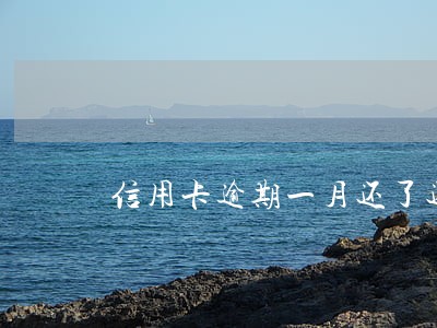 信用卡逾期一月还了还能用吗 信用卡逾期一月还了还能用吗