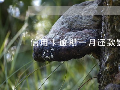 信用卡逾期一月还款影响贷款 信用卡逾期一月还款影响贷款