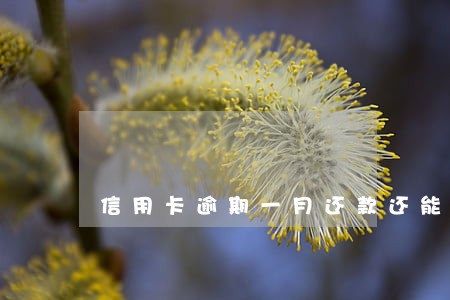 信用卡逾期一月还款还能用吗 信用卡逾期一月还款还能用吗