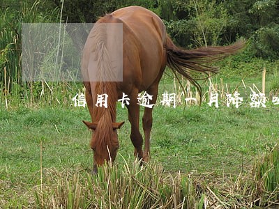 信用卡逾期一月降额吗