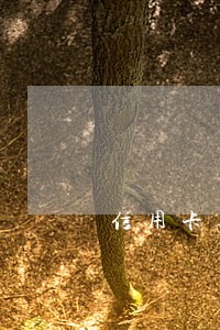 信用卡逾期一期下一期 信用卡逾期一期下一期