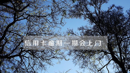 信用卡逾期一期会上门 信用卡逾期一期会上门