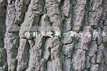 信用卡逾期一期会冻结卡吗 信用卡逾期一期会冻结卡吗