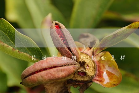 信用卡逾期一期会怎样