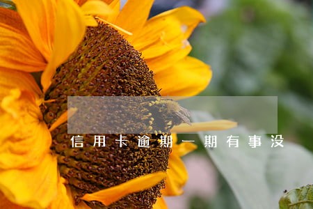 信用卡逾期一期有事没 信用卡逾期一期有事没