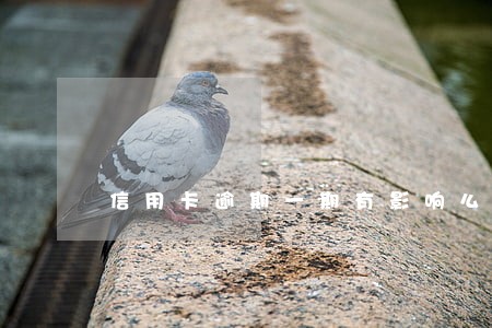 信用卡逾期一期有影响么