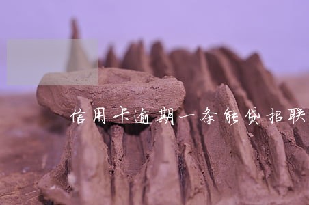 信用卡逾期一条能贷招联吗 信用卡逾期一条能贷招联吗