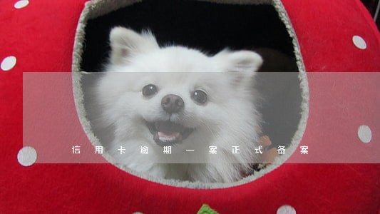 信用卡逾期一案正式备案 信用卡逾期一案正式备案