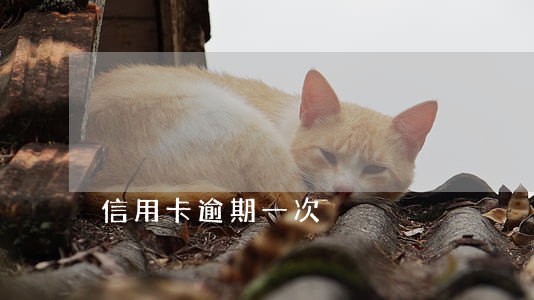 信用卡逾期一次 信用卡逾期一次