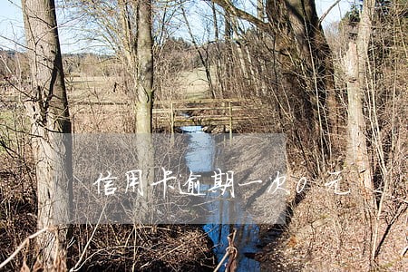 信用卡逾期一次0元