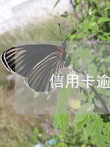 信用卡逾期一次5天严重吗 信用卡逾期一次5天严重吗
