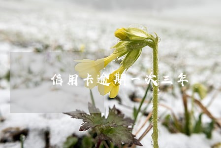 信用卡逾期一次三年 信用卡逾期一次三年
