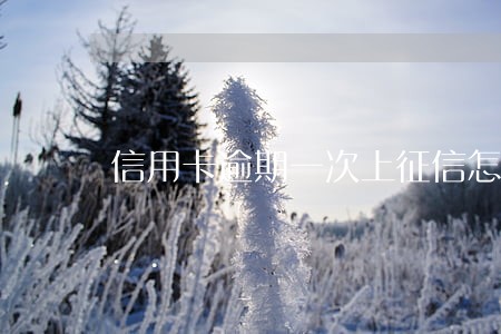 信用卡逾期一次上征信怎么处理 信用卡逾期一次上征信怎么处理