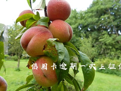 信用卡逾期一次上征信有什么结果 信用卡逾期一次上征信有什么结果