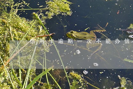 信用卡逾期一次不能办信用卡 信用卡逾期一次不能办信用卡