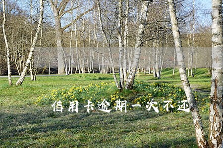 信用卡逾期一次不还 信用卡逾期一次不还
