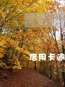 信用卡逾期一次严重不 信用卡逾期一次严重不