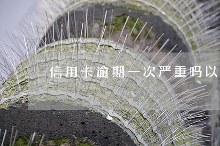 信用卡逾期一次严重吗以后使用要利息吗