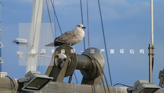 信用卡逾期一次严重征信吗 信用卡逾期一次严重征信吗