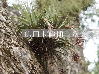 信用卡逾期一次会导致什么后果
