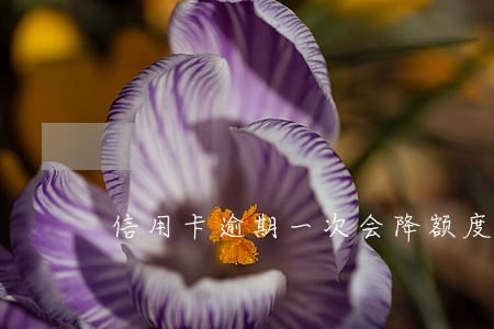 信用卡逾期一次会降额度