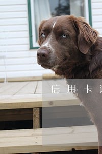 信用卡逾期一次借呗不能用了 信用卡逾期一次借呗不能用了