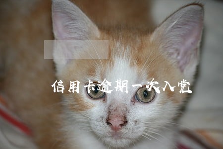 信用卡逾期一次入党