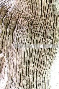 信用卡逾期一次八天 信用卡逾期一次八天