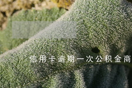 信用卡逾期一次公积金商业混合贷