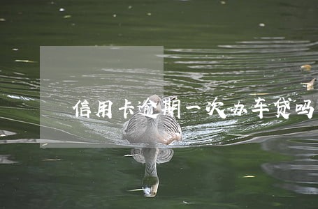 信用卡逾期一次办车贷吗 信用卡逾期一次办车贷吗