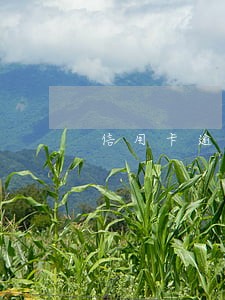 信用卡逾期一次加息 信用卡逾期一次加息