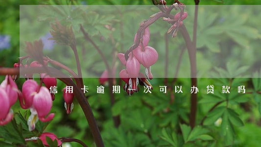信用卡逾期一次可以办贷款吗 信用卡逾期一次可以办贷款吗