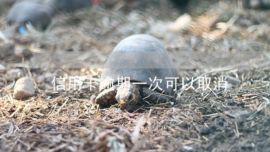 信用卡逾期一次可以取消