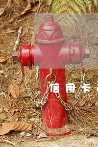 信用卡逾期一次可以放款吗 信用卡逾期一次可以放款吗