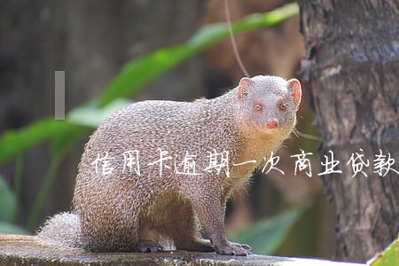 信用卡逾期一次商业贷款 信用卡逾期一次商业贷款