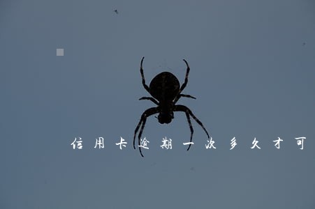 信用卡逾期一次多久才可以抹掉